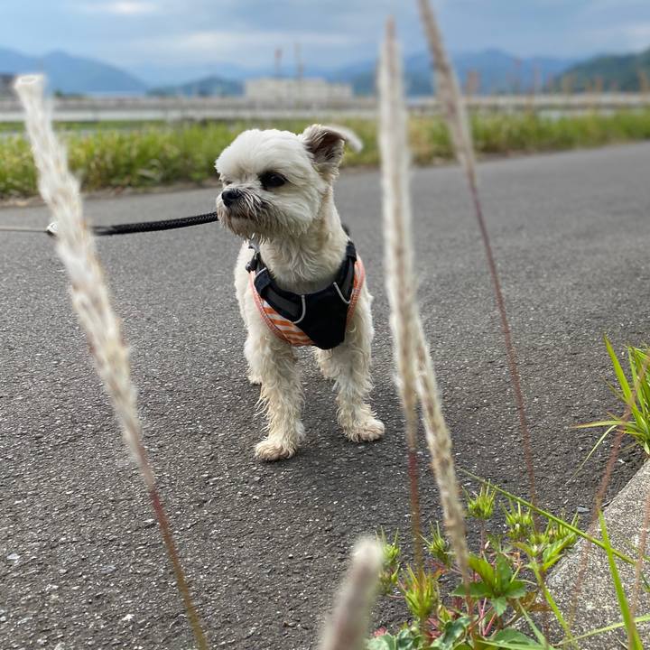 124d4860 b8b0 4224 88e0 29fb73fcd43c 1588666099875