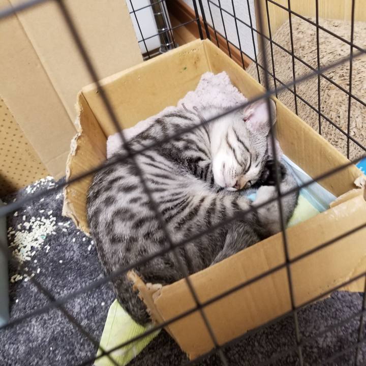 124d5ba0 e538 4912 aa54 91b0c97f189c 1664879971304