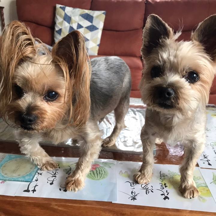 124d7e75 c2e7 4aa4 95f0 0cf3e32197e5 1593683890569