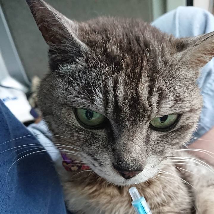 124da047 039d 4c47 8b16 ea5ab336059d 1596145700376