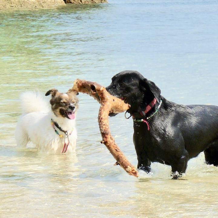 124df2a5 fbcc 4722 9108 c5f55ab725c6 1642206959035