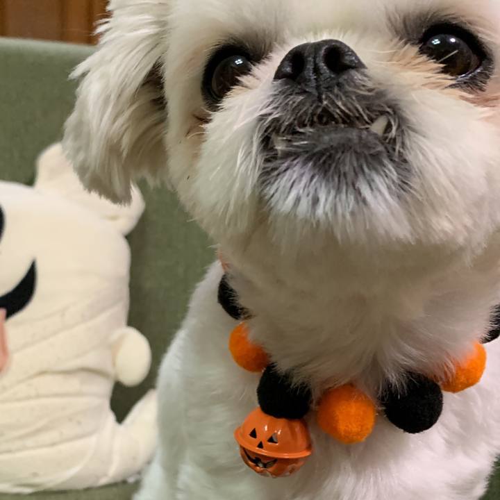 124e3bb1 1b1c 4e9f a4b5 edddbb0ae57a 1698765258349