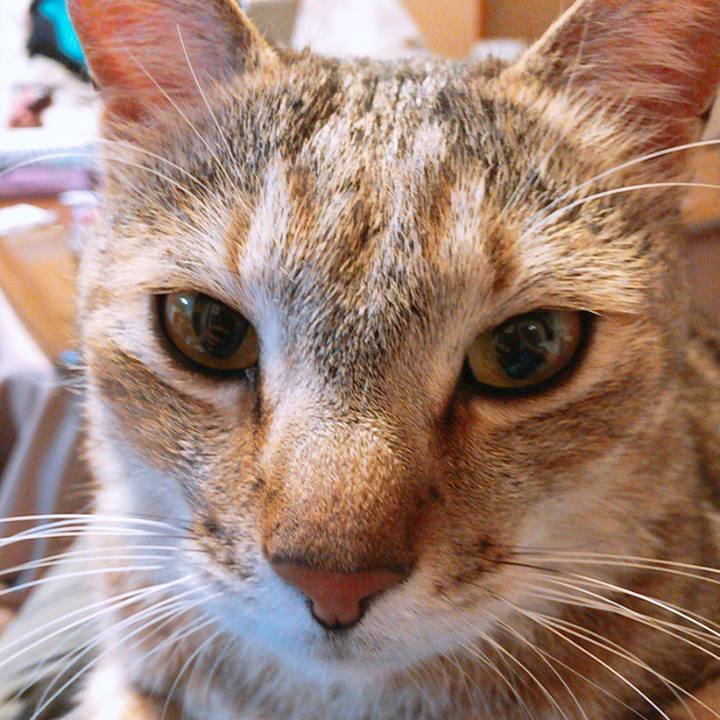 124e758b f304 43e7 a2cf 9d258582cad5 1558182829725