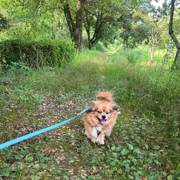 124ea32b d925 4aba b5fc 381c31f19d4c 1751678781410