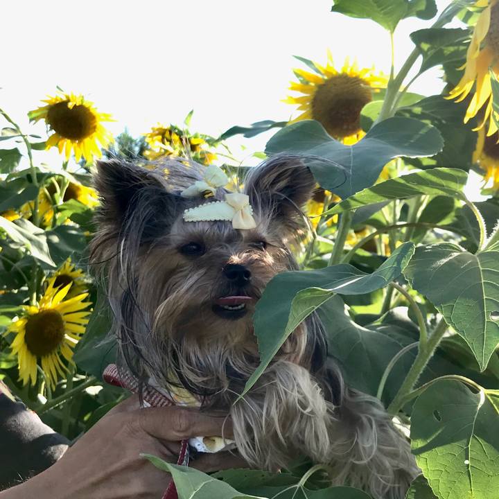 124eae81 53da 4054 bbc2 8c3af2738a0d 1661475607622