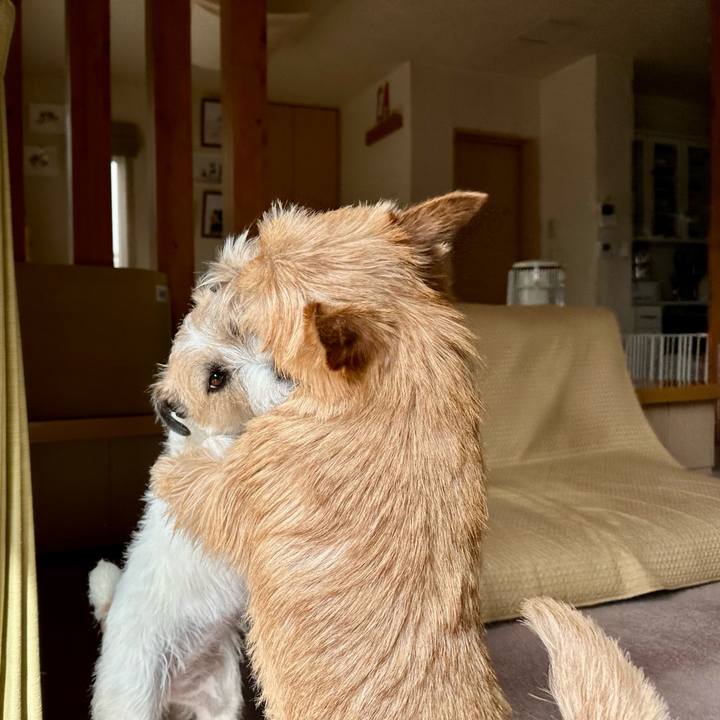 124ebde9 f63a 4d31 8686 bdf8930f5f9f 1742194673523