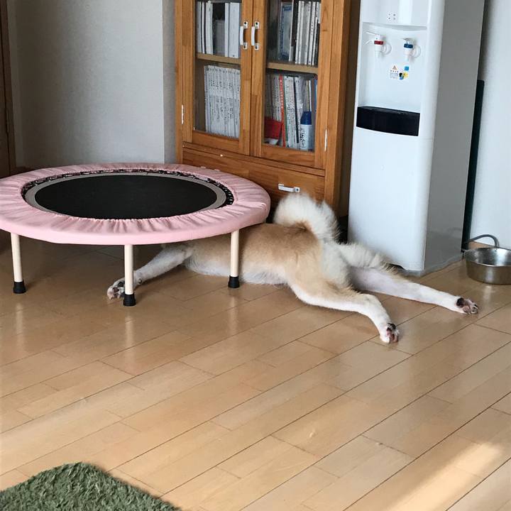 124ee815 ab3a 41e3 9f7c 340a1c0f6405 1509447933439