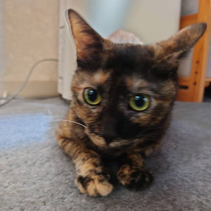 124ef91b 2d3f 4a40 a72a 4f7b7315ec42 1710066914847