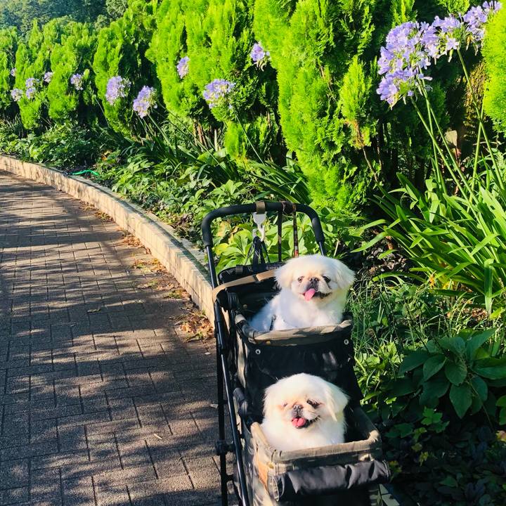 124f23dc 0ca1 41cb 8493 e242eaffad04 1626565654020