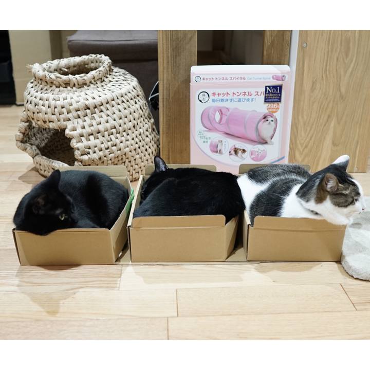 124f2f46 38bc 47b2 9075 9c1271422e3c 1559778238448