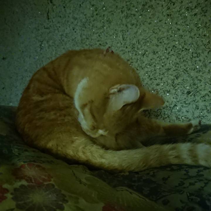 124f31f0 0c78 4fb3 88ed d3e44707f08f 1603020567356