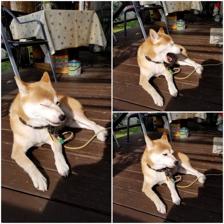 124f5827 31e5 45ef ab1a 6cec829f305b 1597620907174