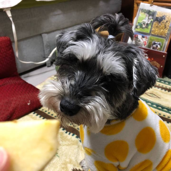 124f91d1 3867 4307 94d0 2dd6edcef6ee 1645970183343