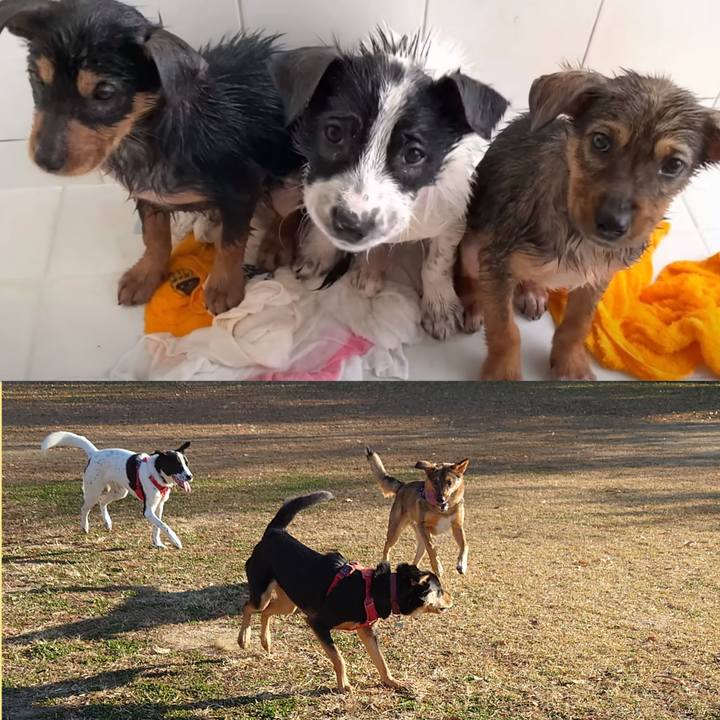 124fdf31 0160 4328 a936 3cbad042e096 1701569641344