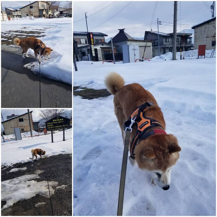 12503dcc 8408 4657 b461 93f220e40071 1768622149558