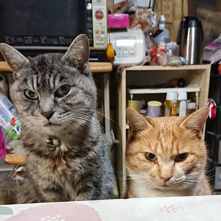 125050a9 d959 48f8 9895 689c6521fd49 1577484037758