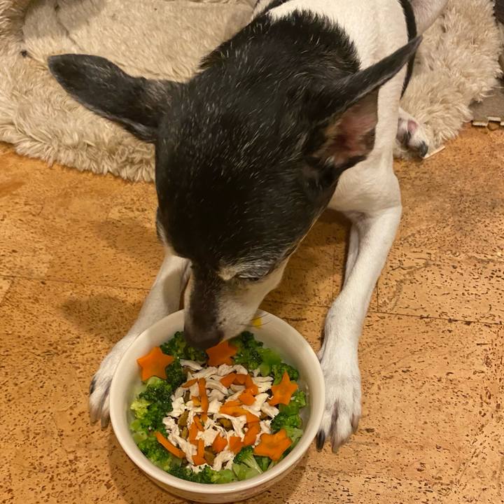 12508af4 cadb 4c8f 938c e6c859a8e111 1625234436706