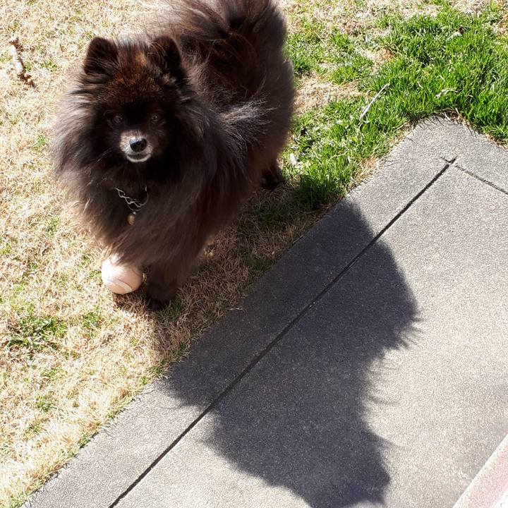 12509424 492b 48fc 9b84 9e1ce5895b62 1517976515708