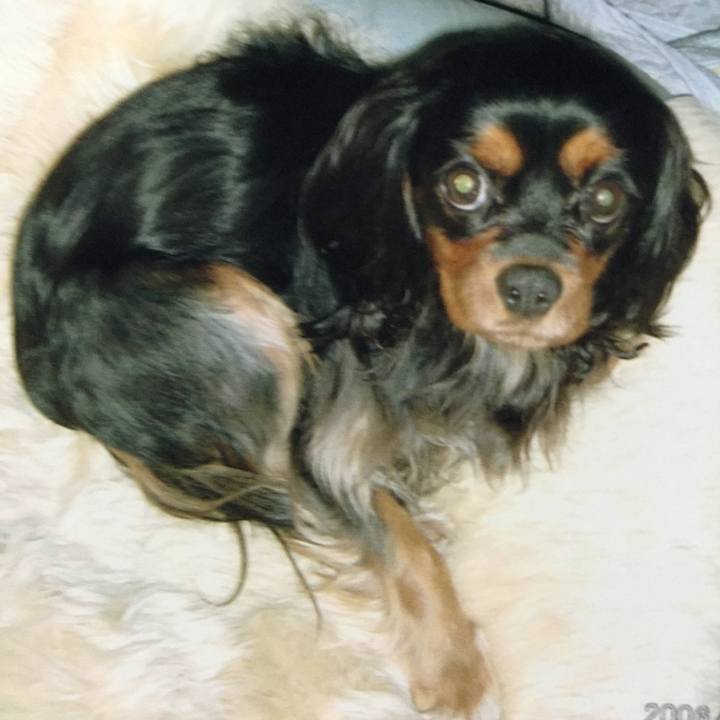 1250adcb 71c9 42a8 ba2b fc0926b88a7f 1515711524487