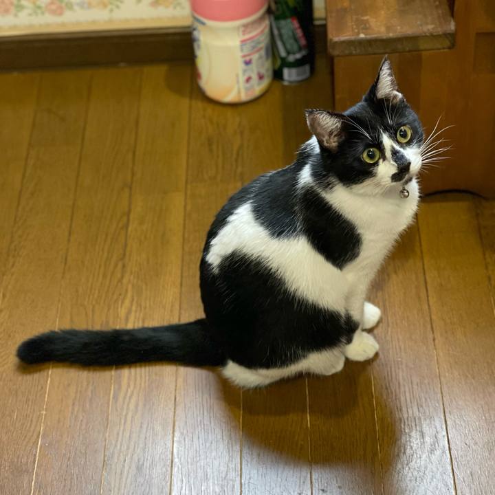 1250d1b7 cce0 4ef0 aba2 13ad96cf3dce 1758149509358