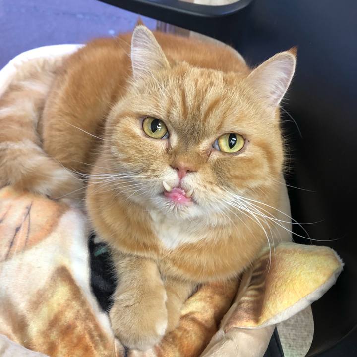 1251102f bb5e 44ef a437 2cf2731555cf 1577839090795