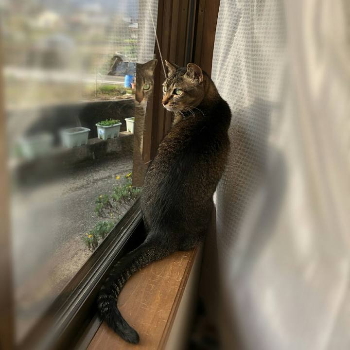 12512435 f45e 45a8 9bdd 12558599413a 1585037348585