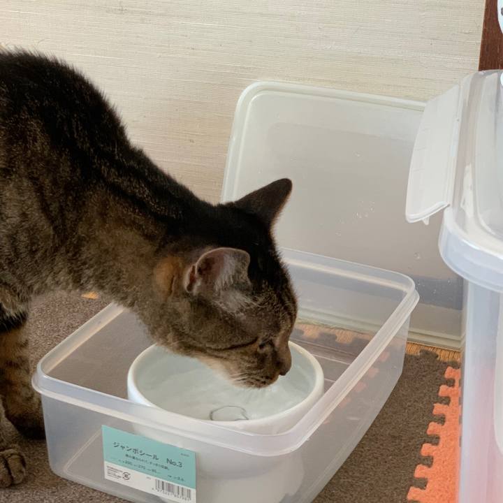 12513a46 ee1e 4916 b3c6 188405229370 1597712141885