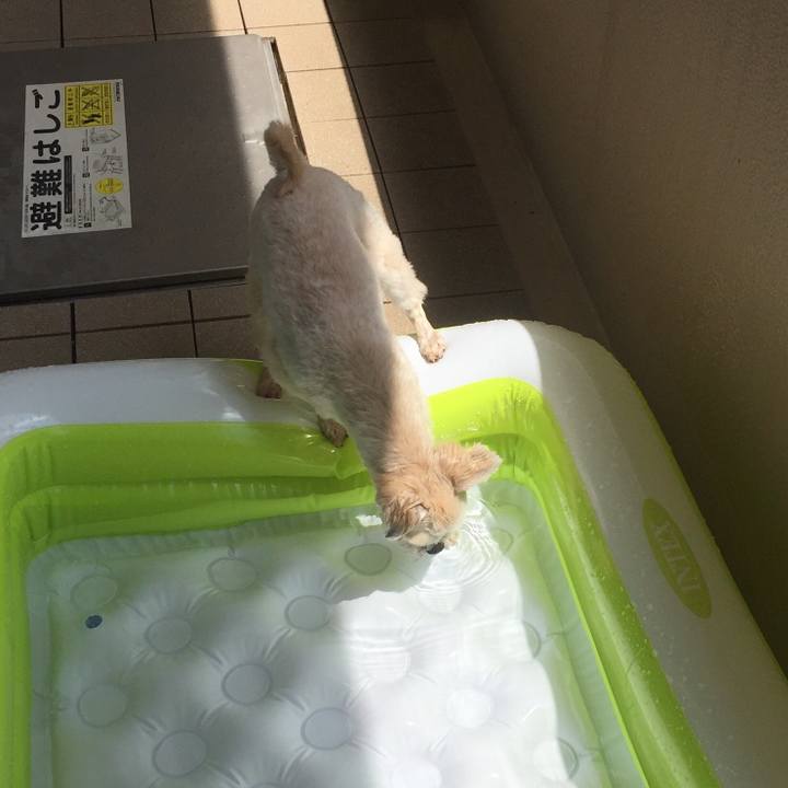 12514599 c381 46cd 876a 54bd55ac9b9e 1534130106459