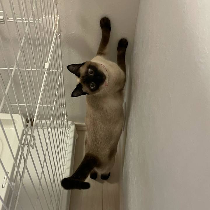 12515cfd 456a 4be0 bb5d 87b257e36e5d 1717099083108