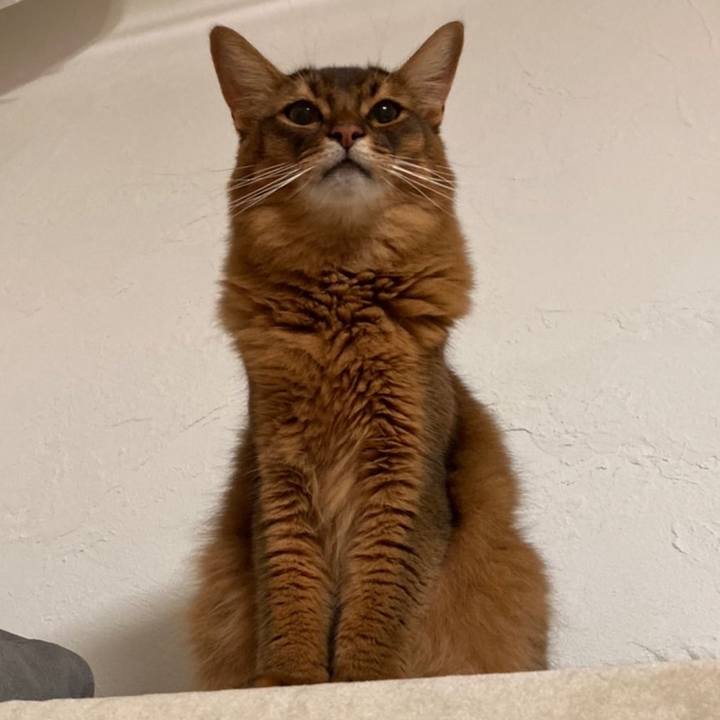 125163c7 2742 43fd 9e68 031dc3edfb8d 1663455372811