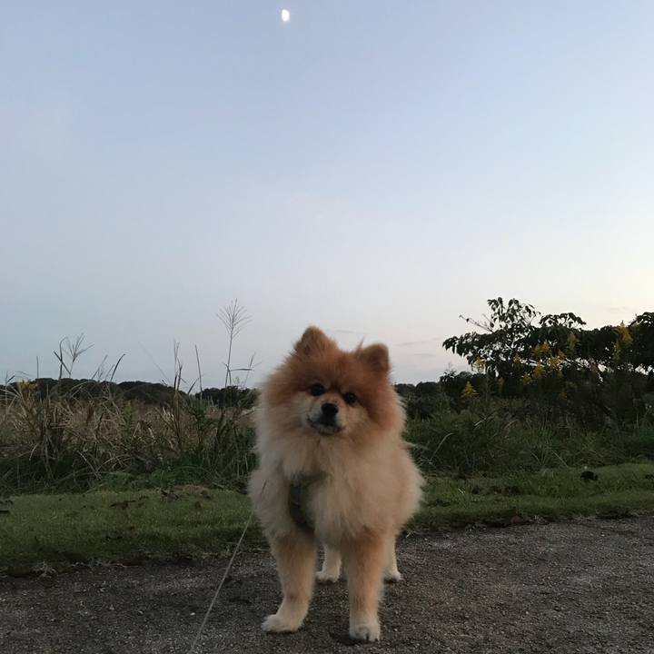 12516b50 62e5 49a2 bf3d 25fcea03fdba 1539866557868