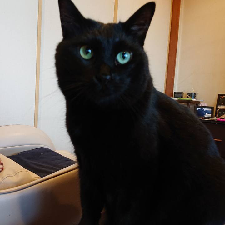 1251ca0a f15f 4cd6 9d8f f160d0a1afad 1659565300187