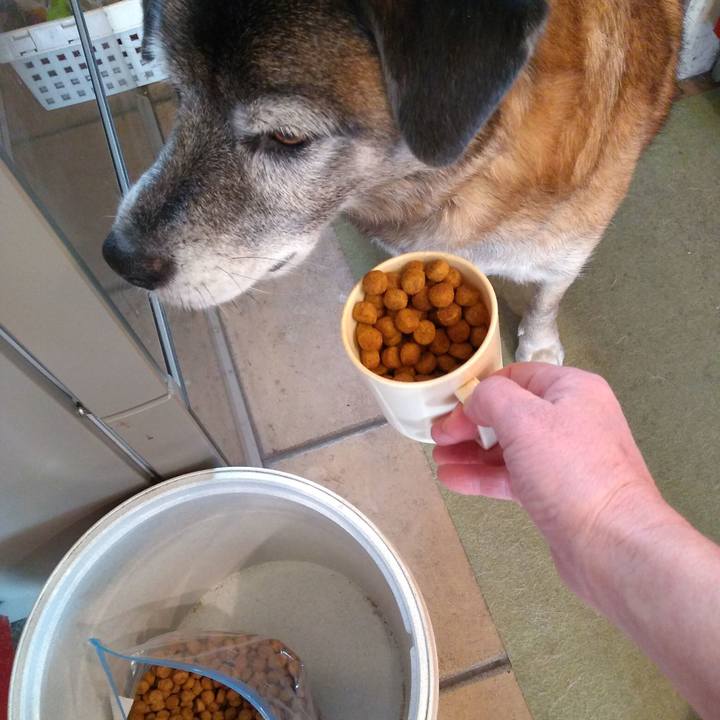 12521465 729d 49a0 b88d 9f967fea4e9d 1548382909889