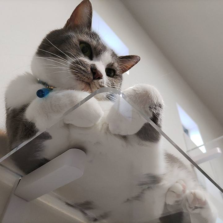 12524bbf bcd0 423a b2ea bfd74598f580 1725007440020