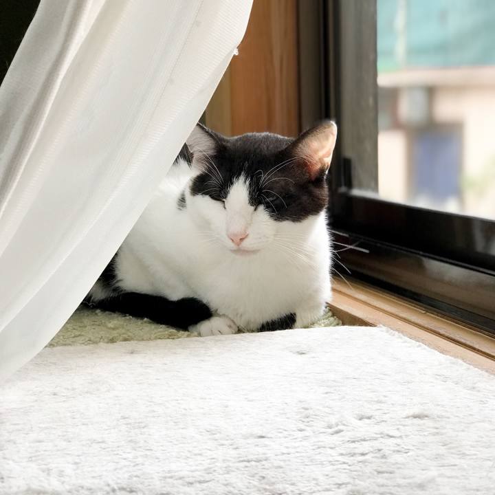 12526d35 fdf7 415f ae42 6e88bcaac8bd 1531316219206