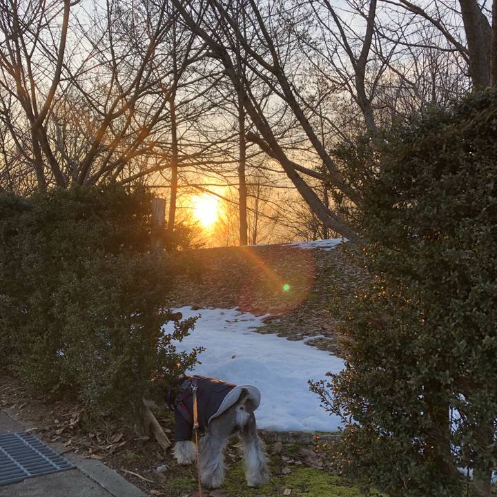 1252862d f25e 48fb 8cda b4e2ec376789 1645876531899