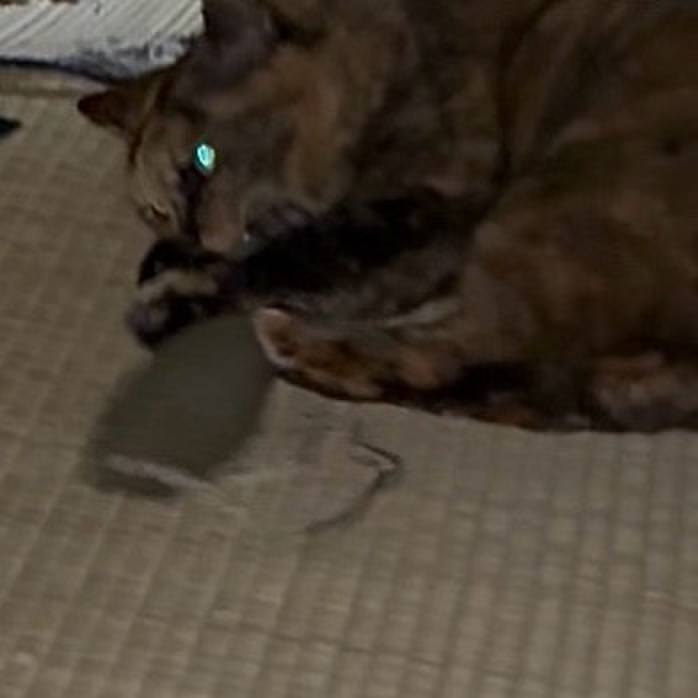 1252b36c 4958 4d83 a892 255a5a560317 1774039614484