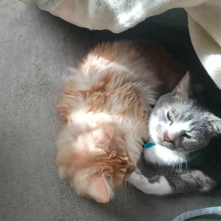 125323f5 a621 4062 98cf ebe85e9d9e2e 1639635981275