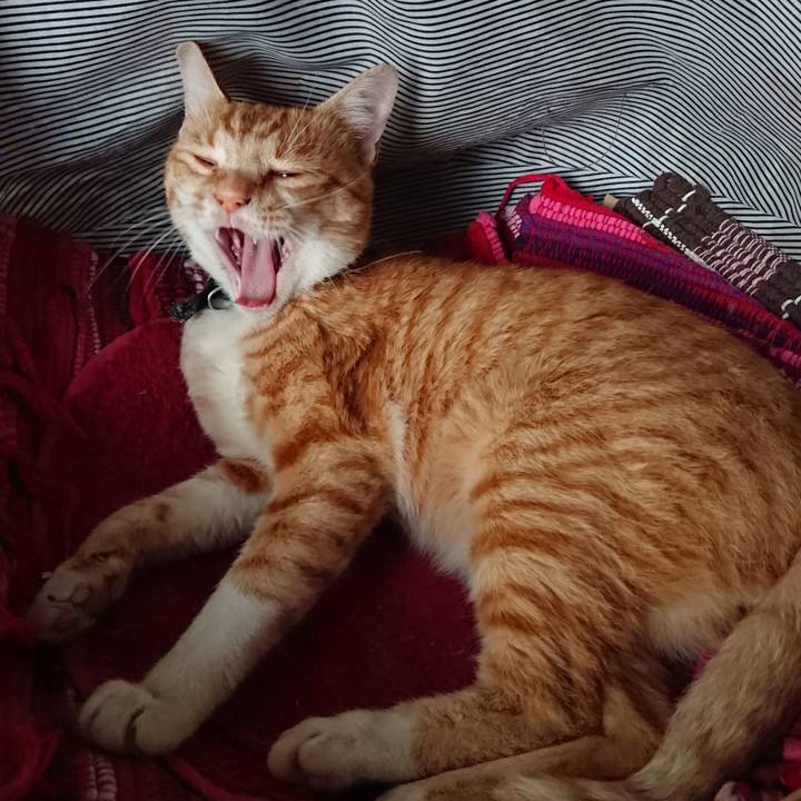 12537754 e976 49da bc1c 39b22ac8a63e 1563681851772