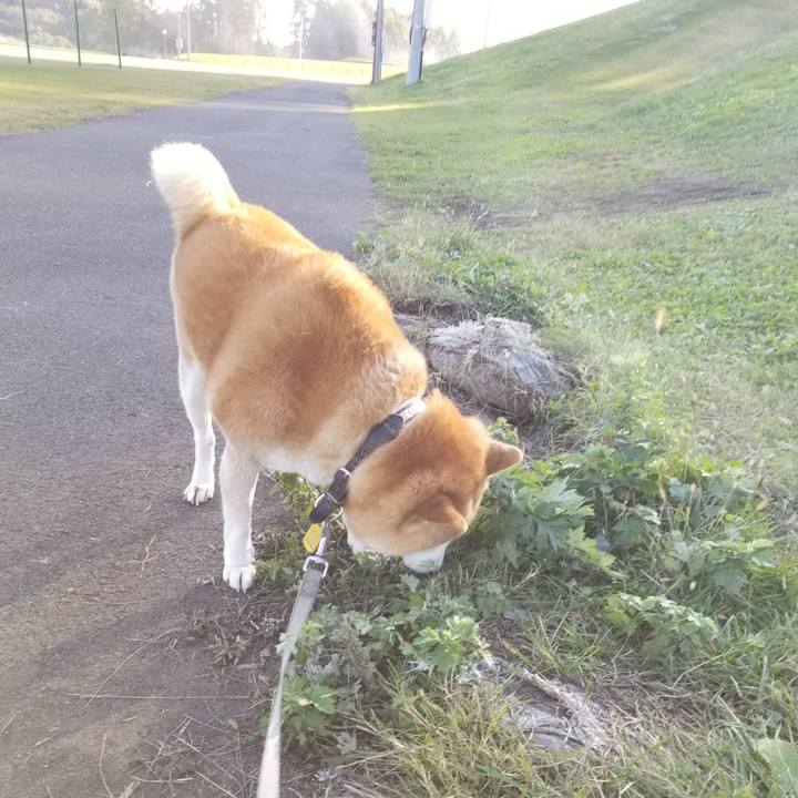 12540109 59d3 43a4 85fe ad68c2fe0285 1636178872182