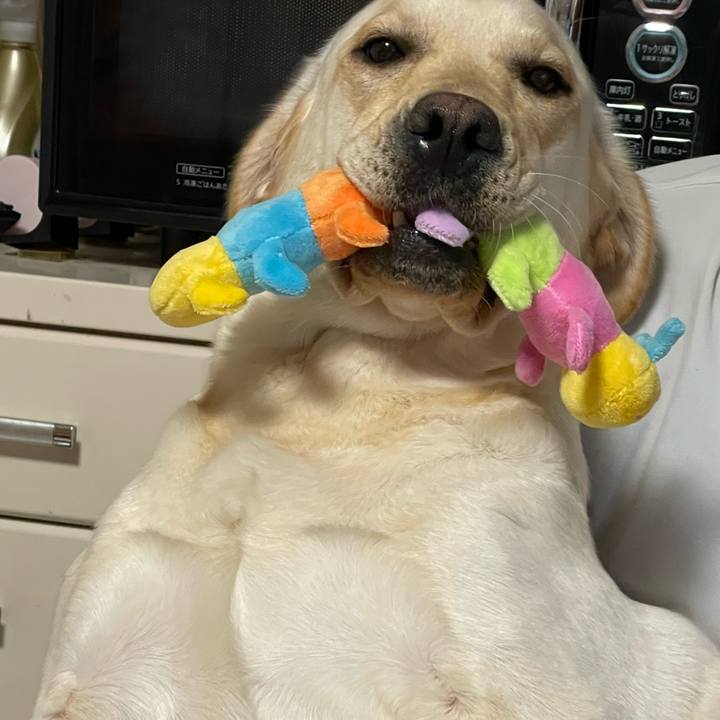 12540ade f5a7 4159 ad7e 5496bdee3656 1651485526404