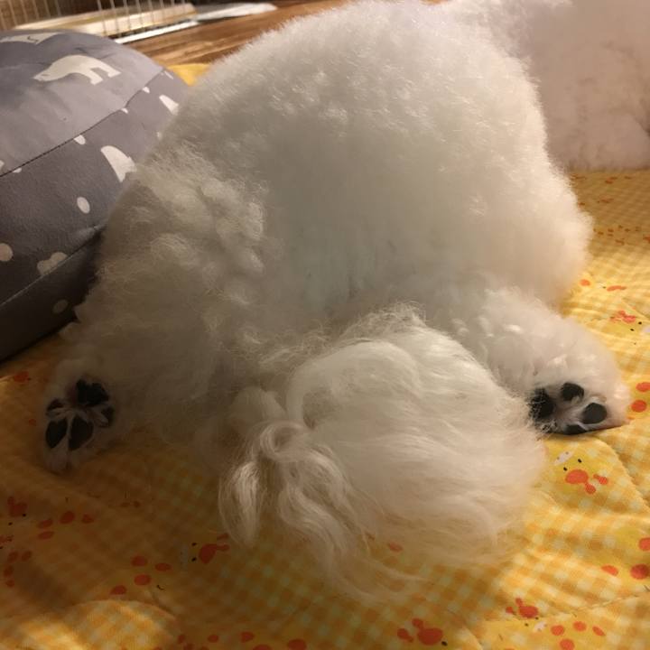 125423bd 180c 4ce4 8c30 03f43d9fa911 1567331293319