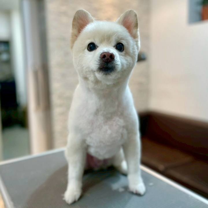 12543873 8ead 425f 8869 f85f029ffb91 1762075305710