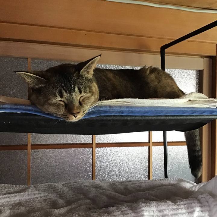 12543a8a 26b8 4de5 87bd 424fd1f73457 1694492184429