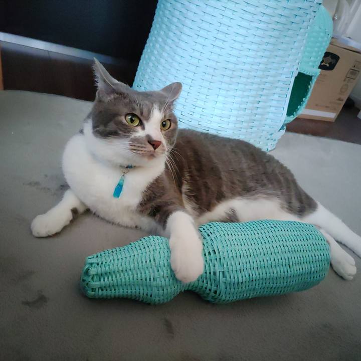 12548ec7 022c 4fd4 b020 f670c0174258 1653788712733