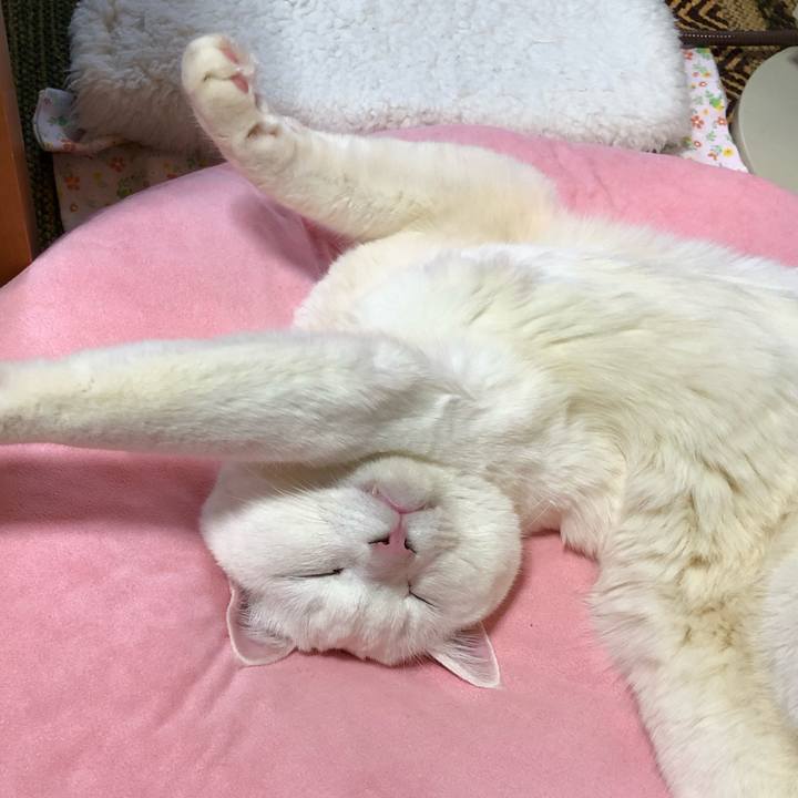 1254d35c 5aa7 4d6d 8042 e71ca2cebb58 1609332335832