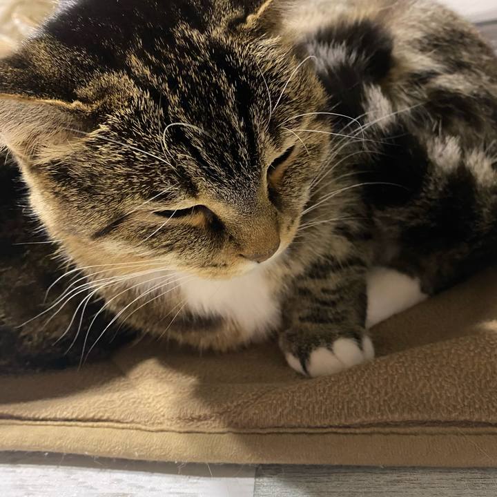 1254e4f4 7a20 4084 a402 3ecd0a454a11 1611488408130