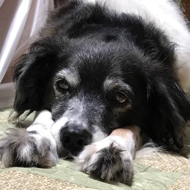 1254ebef 9387 4c2b 9fff ad82a5f37bb4 1530881507768