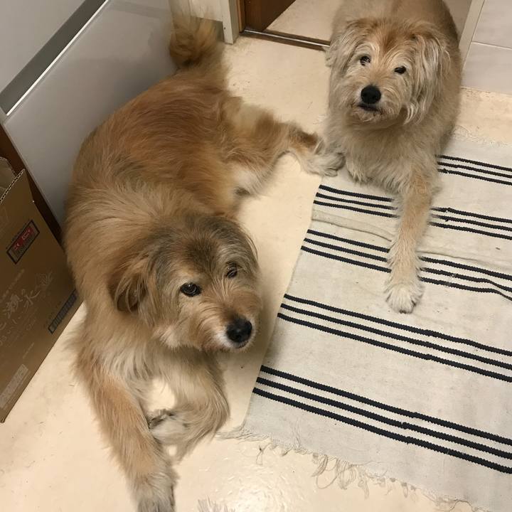 12551cdb 689c 47b8 bbf1 b823bf0b0f73 1621600533241