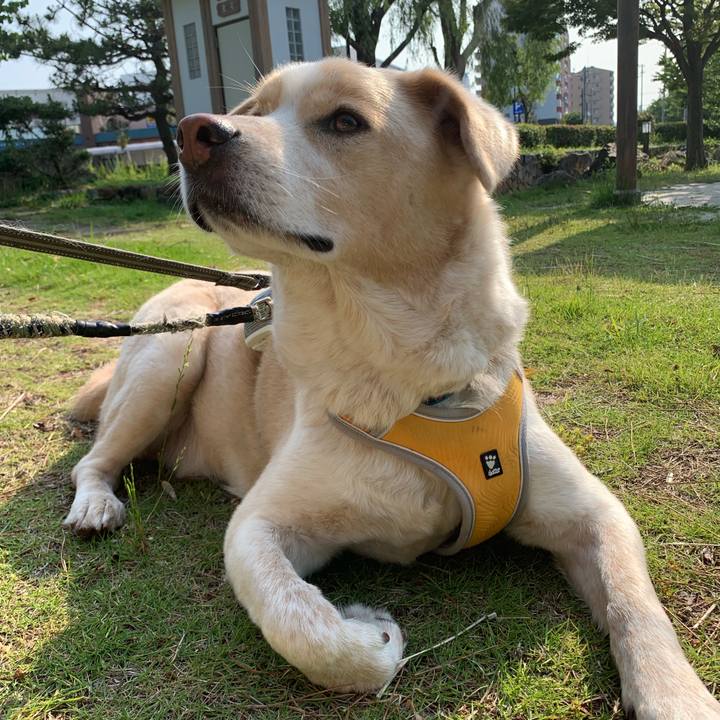 12552417 868f 4307 928b 7b35de27fb63 1560932934033